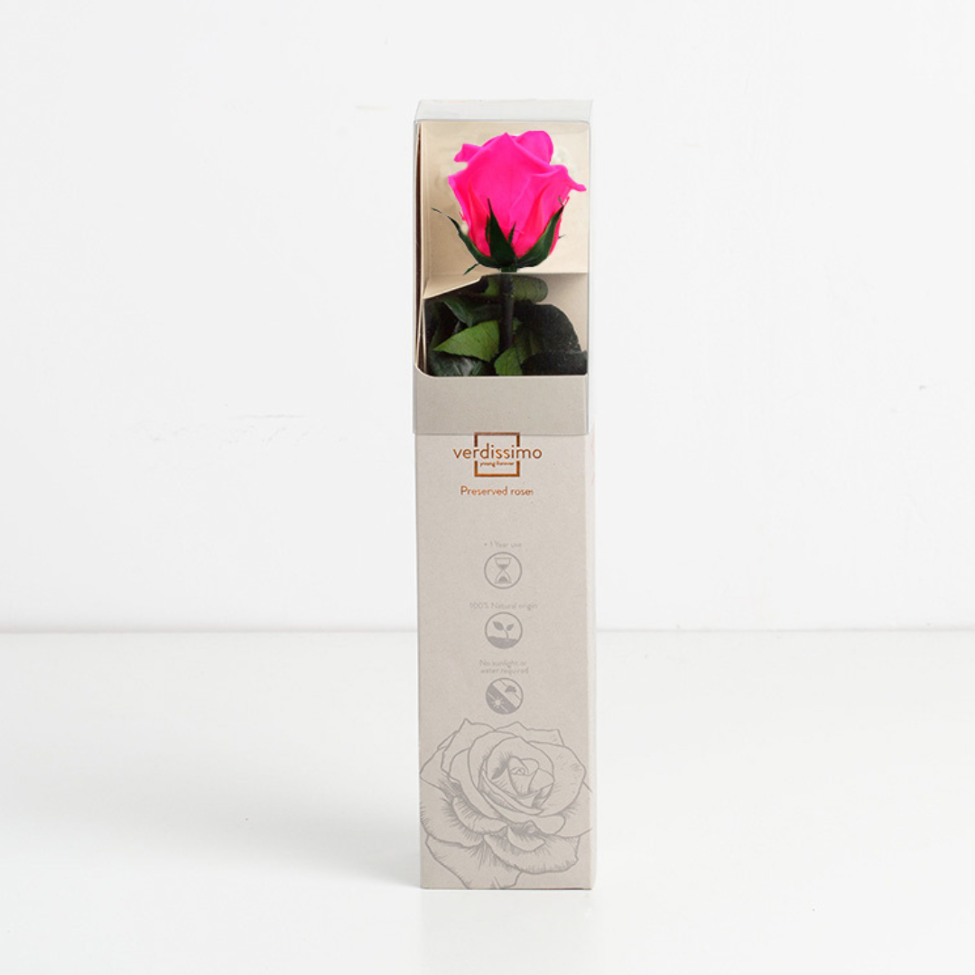 Hot Pink Infinity Rose Short Stem
