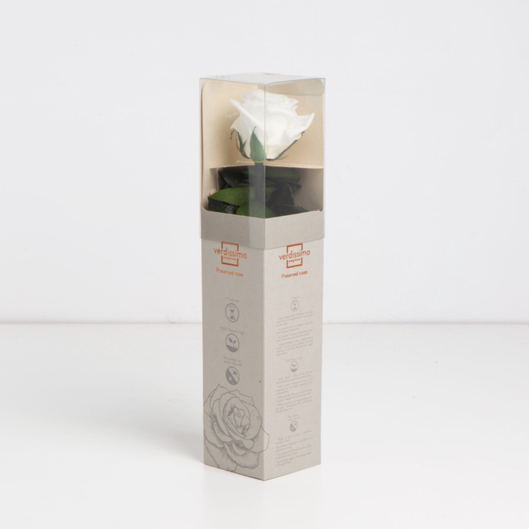 White Infinity Rose Short Stem